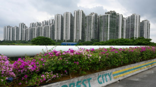 Malaysia's Forest City teeters over China property giant woes