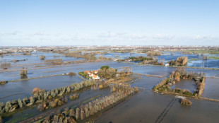 Pas-de-Calais: pour les agriculteurs inondés, un traumatisme et des mois de travail tombés à l'eau