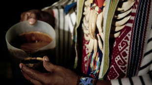 Desmantelan en España una organización chamánica que usaba ayahuasca colombiana