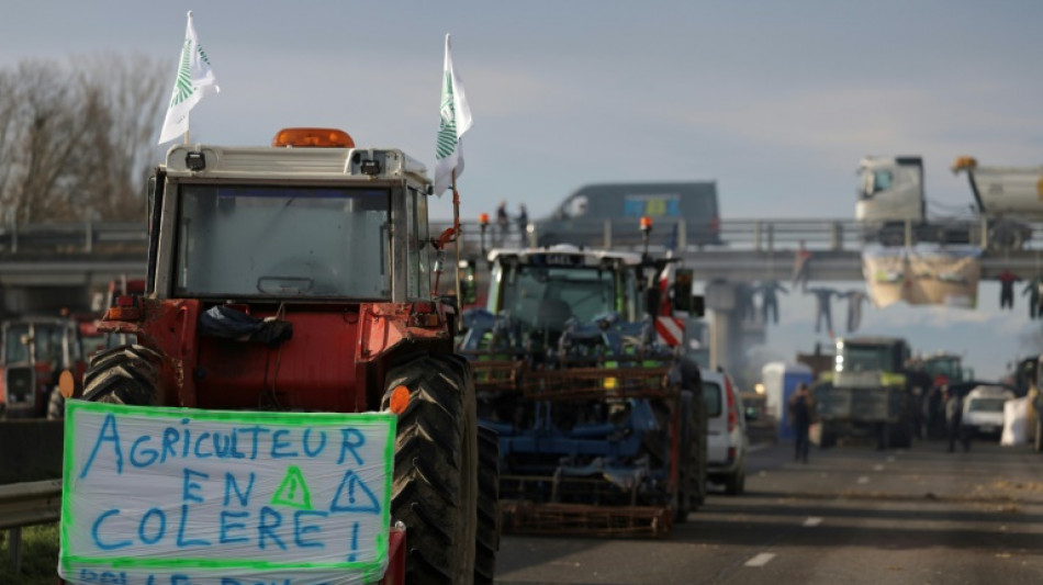 En Occitanie, la grogne des agriculteurs ne faiblit pas