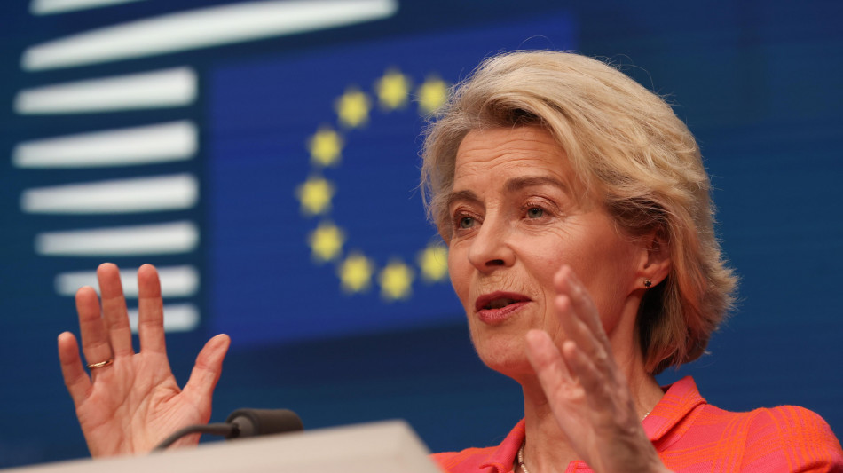  Verdi Ue a von der Leyen, 'noi non in maggioranza con Ecr' 