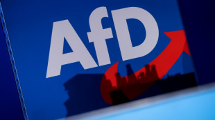 AfD kritisiert Berlinale-Ausladung als "kulturpolitisches Fanal" 