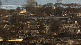 Incendies à Hawaï: le bilan humain dépasse les 100 morts