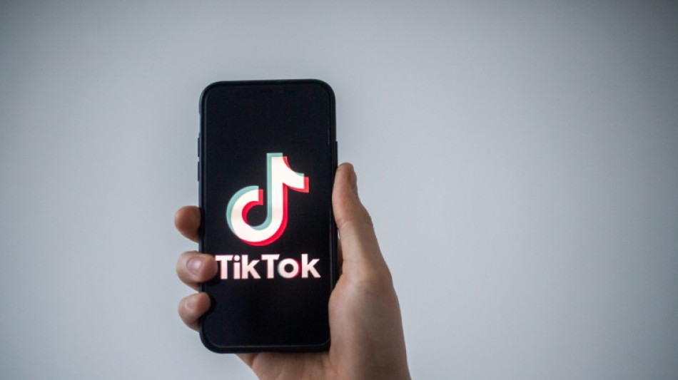 TikTok finds 'partner' in Europe to offer security reassurances