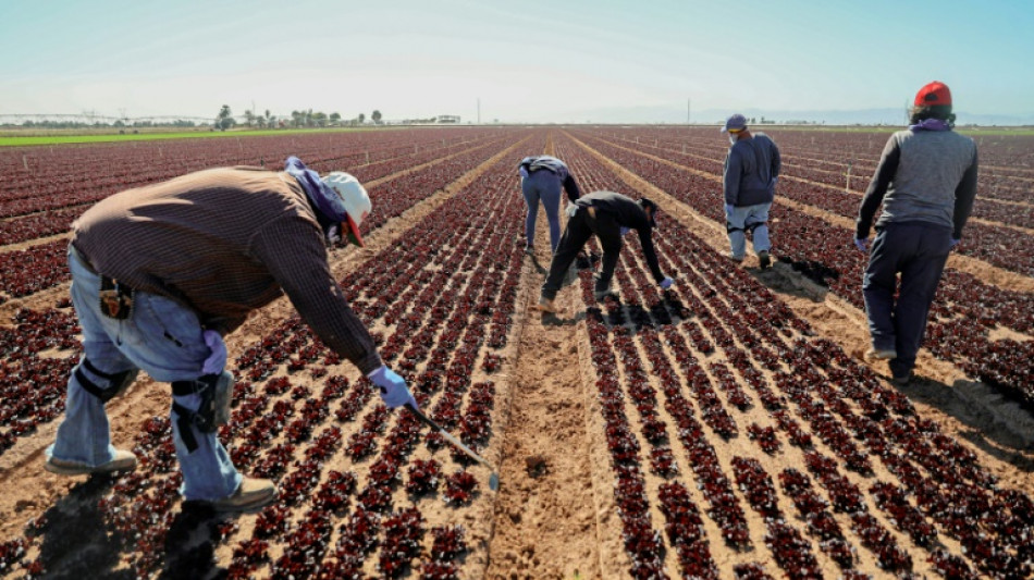 Agricultores del desértico sur de California, en el punto de mira por la guerra del agua