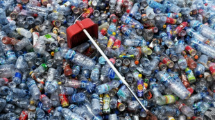 Pollution plastique: "cinq stratégies d'évitement" des industriels dénoncées par l'ONG Surfrider