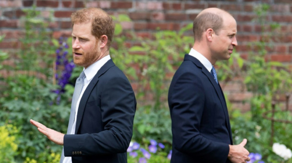 'Gloves off' as Prince Harry takes aim at brother in Netflix series