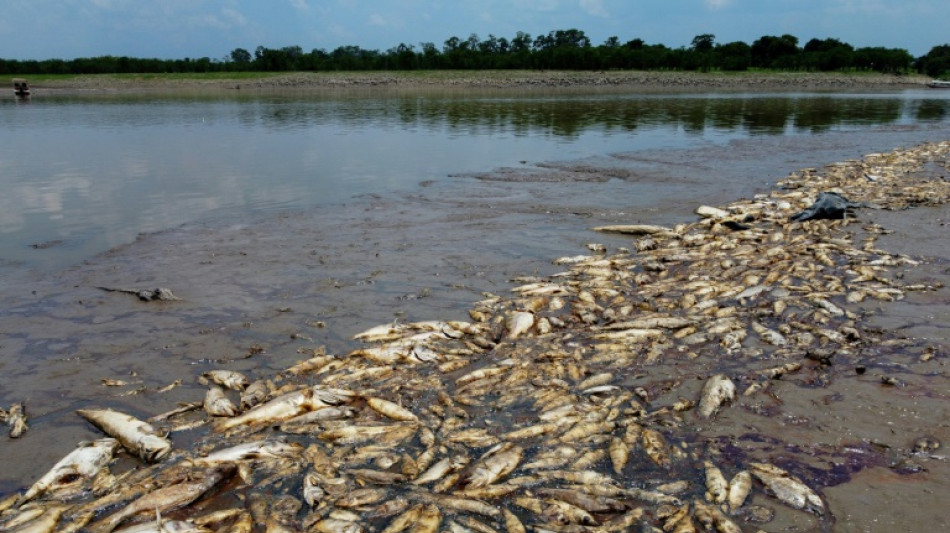 Brasil registra récord de más de 1.100 desastres naturales en 2023