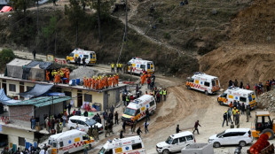 Tunnel effondré en Inde: les secours près d'extraire les 41 ouvriers bloqués