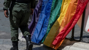 El Tribunal Supremo de Venezuela despenaliza la homosexualidad dentro de la Fuerza Armada