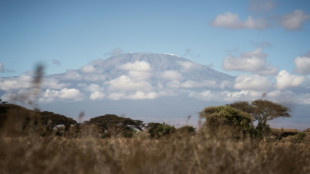 Tanzanie: mobilisation pour contenir un incendie sur le Kilimandjaro