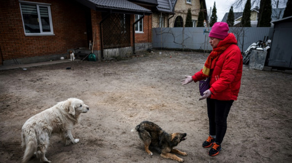 A Irpin, banlieue fantôme de Kiev, une poignée d'irréductibles refuse de partir