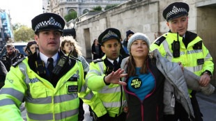 Ermittlungen gegen Greta Thunberg nach Festnahme bei Klimaprotest in London  