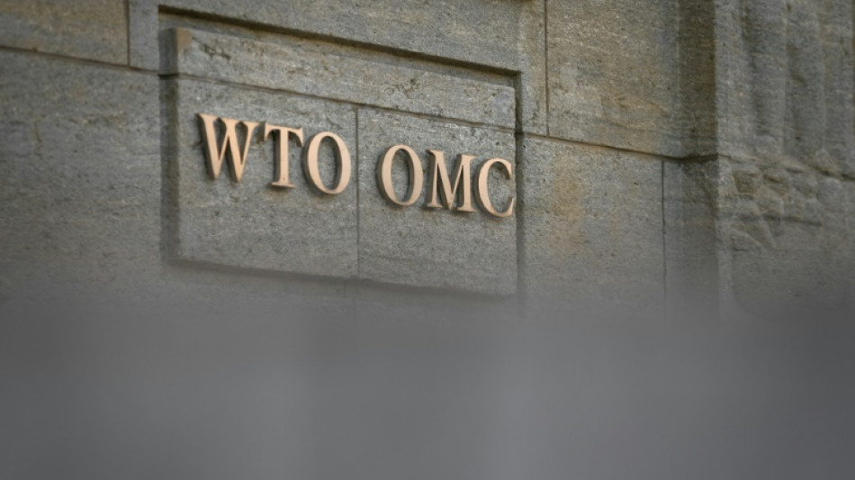 Guerre en Ukraine: la croissance du commerce mondial pourrait être divisée par deux, selon l'OMC