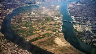 Au Caire, une île vent debout contre sa transformation en "Manhattan"