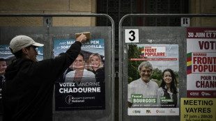 Législatives: après les dépôts et les désistements, la campagne dans sa ligne droite finale