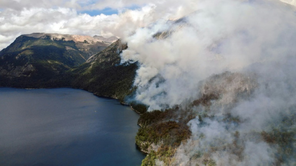 Avanza fuego en bosques nativos patagónicos del sur de Argentina