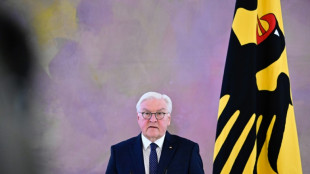 Steinmeier zeigt sich "beeindruckt" von anhaltenden Demonstrationen gegen rechts