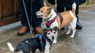 Move over Corgis: Jack Russell becomes new royal top dog