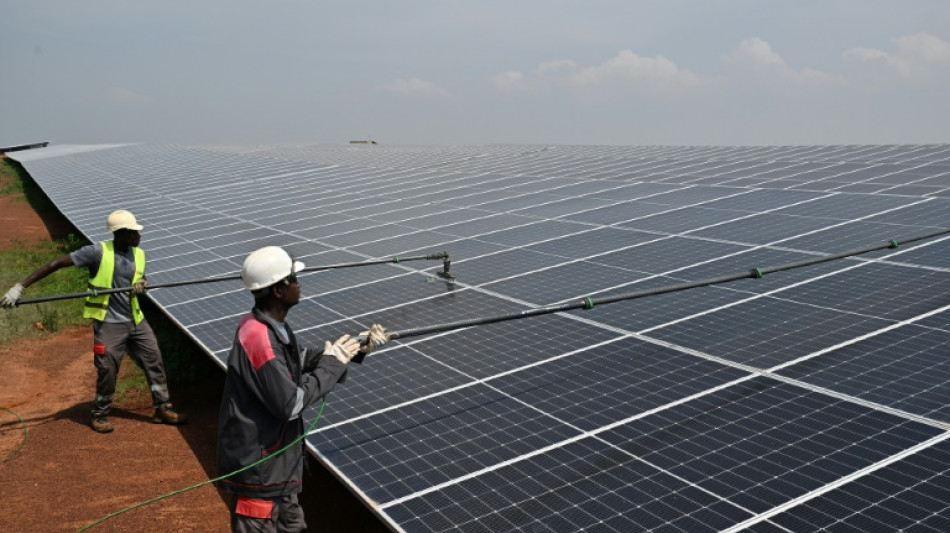 Solar investment outstrips all other power forms: IEA