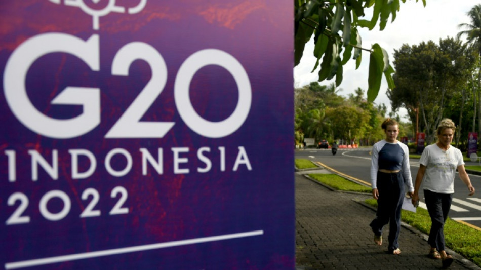 G20 finance chiefs meet as Indonesia warns of energy, food catastrophe