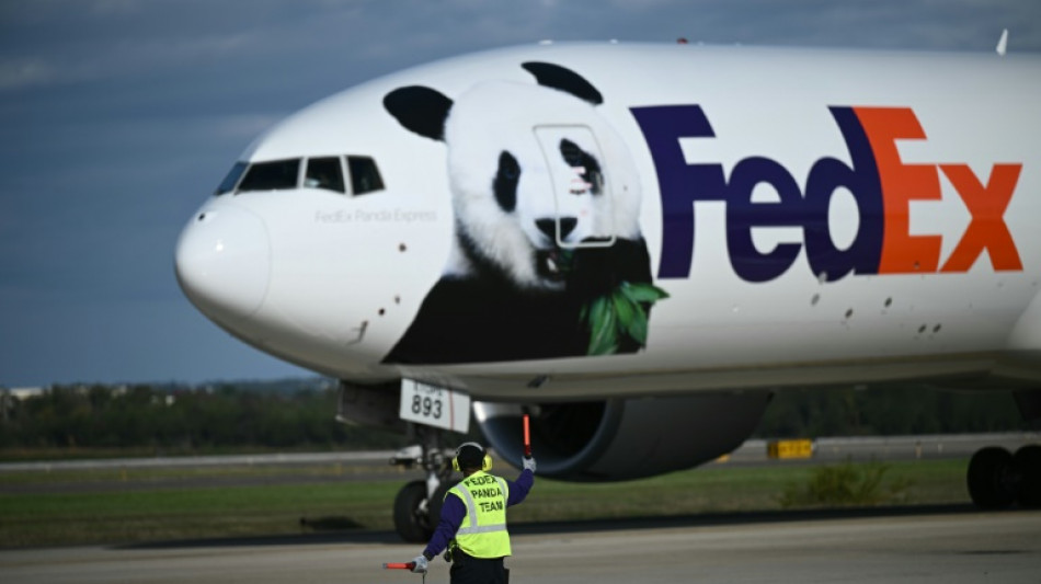 Two giant pandas arrive in US from China