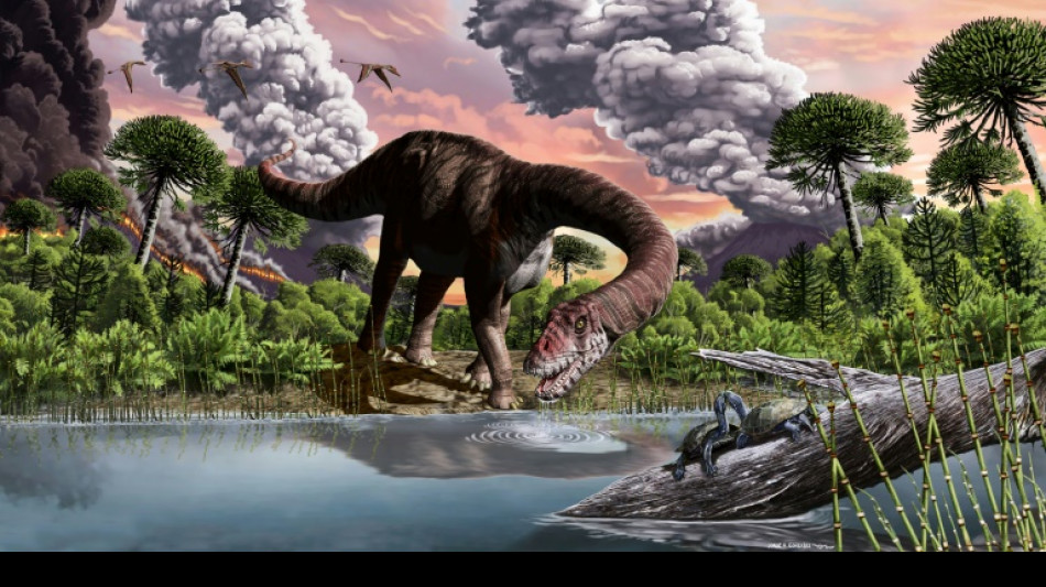 Asteroid dust caused 15-year winter that killed dinosaurs: study