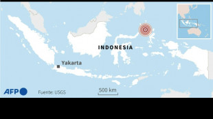 Un sismo de magnitud 7 sacude el este de Indonesia