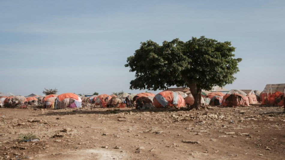 Millones de somalíes están en riesgo de hambruna, afirman agencias de la ONU